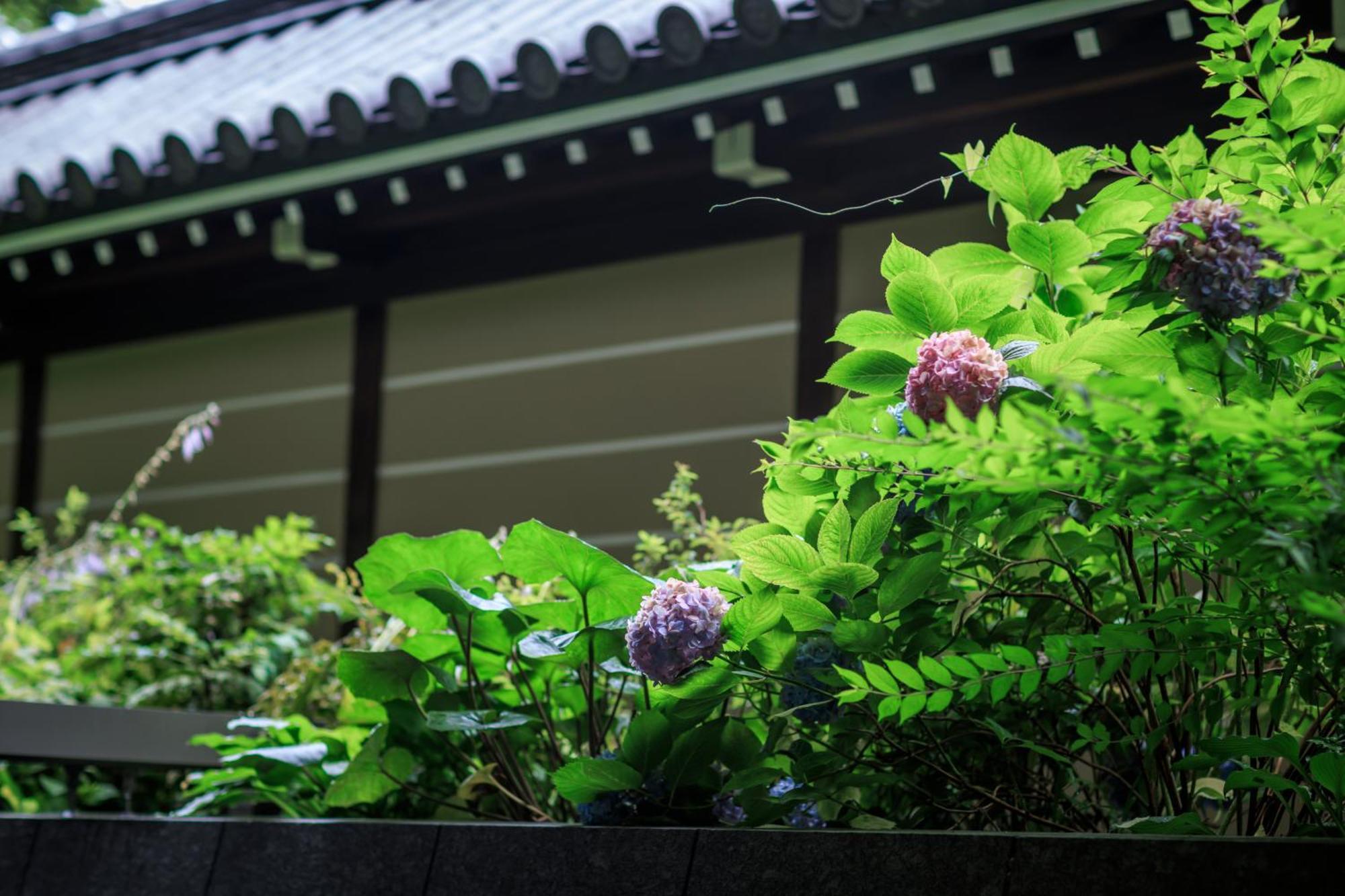 Hotel Okura Kyoto Okazaki Bettei Eksteriør billede